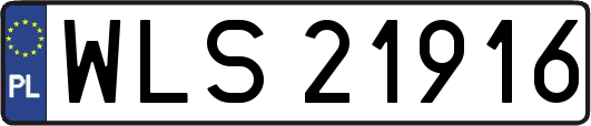 WLS21916