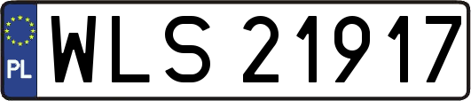 WLS21917