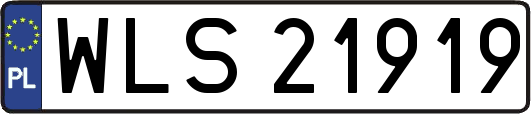 WLS21919