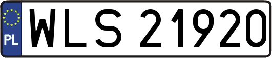 WLS21920