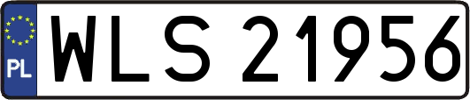WLS21956