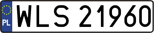 WLS21960