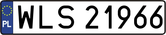 WLS21966