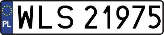 WLS21975