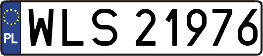 WLS21976