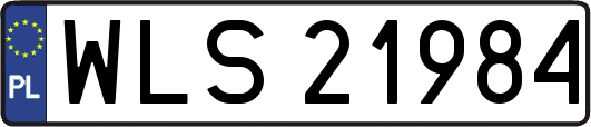 WLS21984