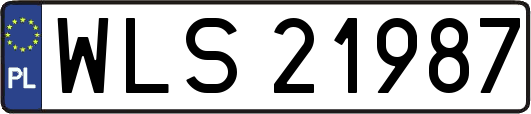 WLS21987