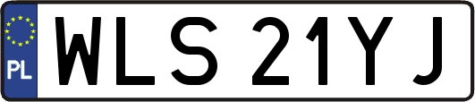WLS21YJ