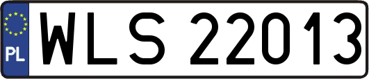 WLS22013