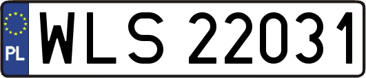 WLS22031