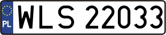 WLS22033