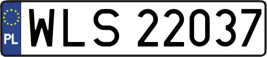 WLS22037