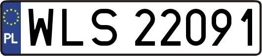 WLS22091