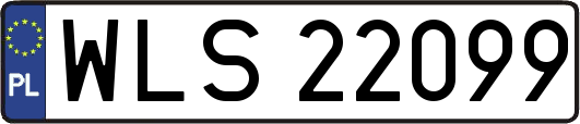 WLS22099
