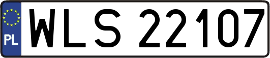 WLS22107