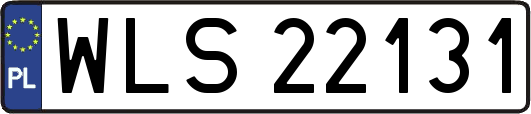 WLS22131