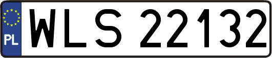 WLS22132