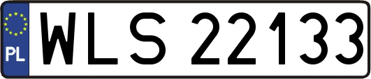 WLS22133
