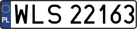 WLS22163
