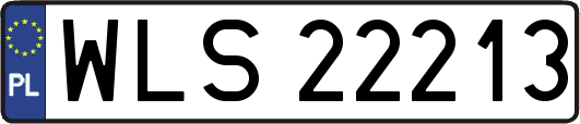 WLS22213