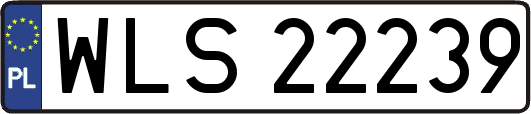 WLS22239