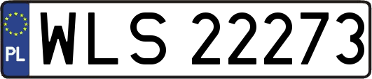 WLS22273