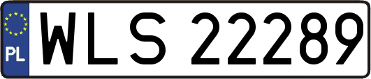 WLS22289