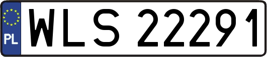 WLS22291