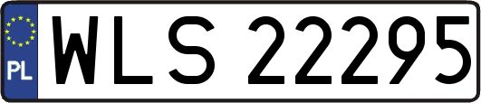 WLS22295