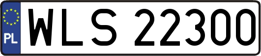 WLS22300