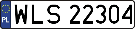 WLS22304