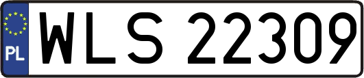 WLS22309