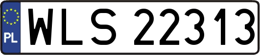 WLS22313