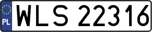 WLS22316