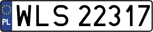 WLS22317