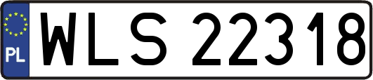 WLS22318