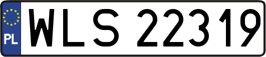 WLS22319