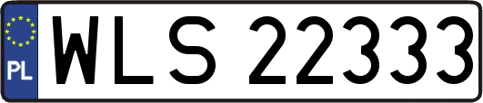 WLS22333