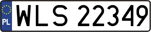 WLS22349