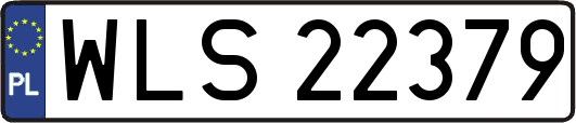 WLS22379