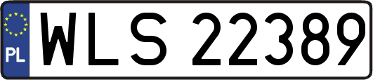 WLS22389