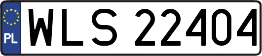 WLS22404