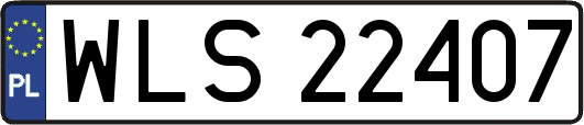 WLS22407