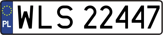 WLS22447