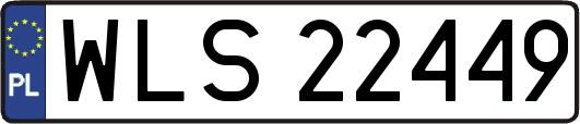 WLS22449