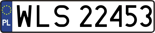 WLS22453