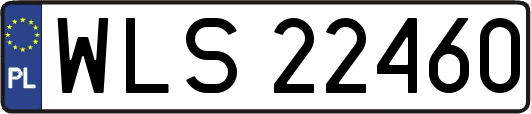 WLS22460