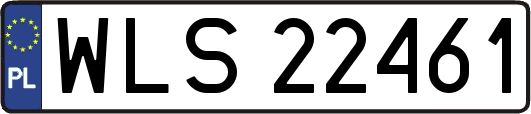 WLS22461
