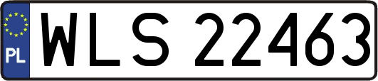 WLS22463