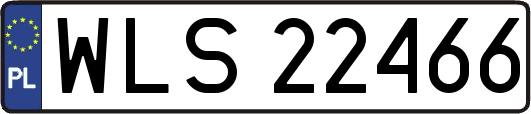 WLS22466